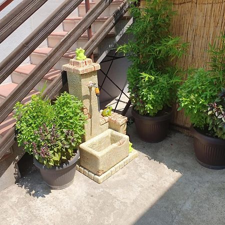 Apartman Djokic 2 Pozsarevác Kültér fotó
